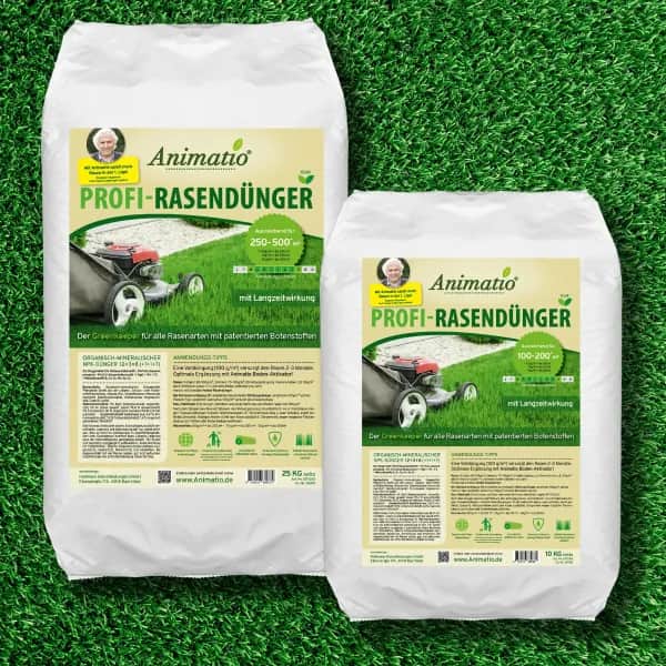 Langzeitdünger für trockene Sommer – Perfekt für Trockenrasen