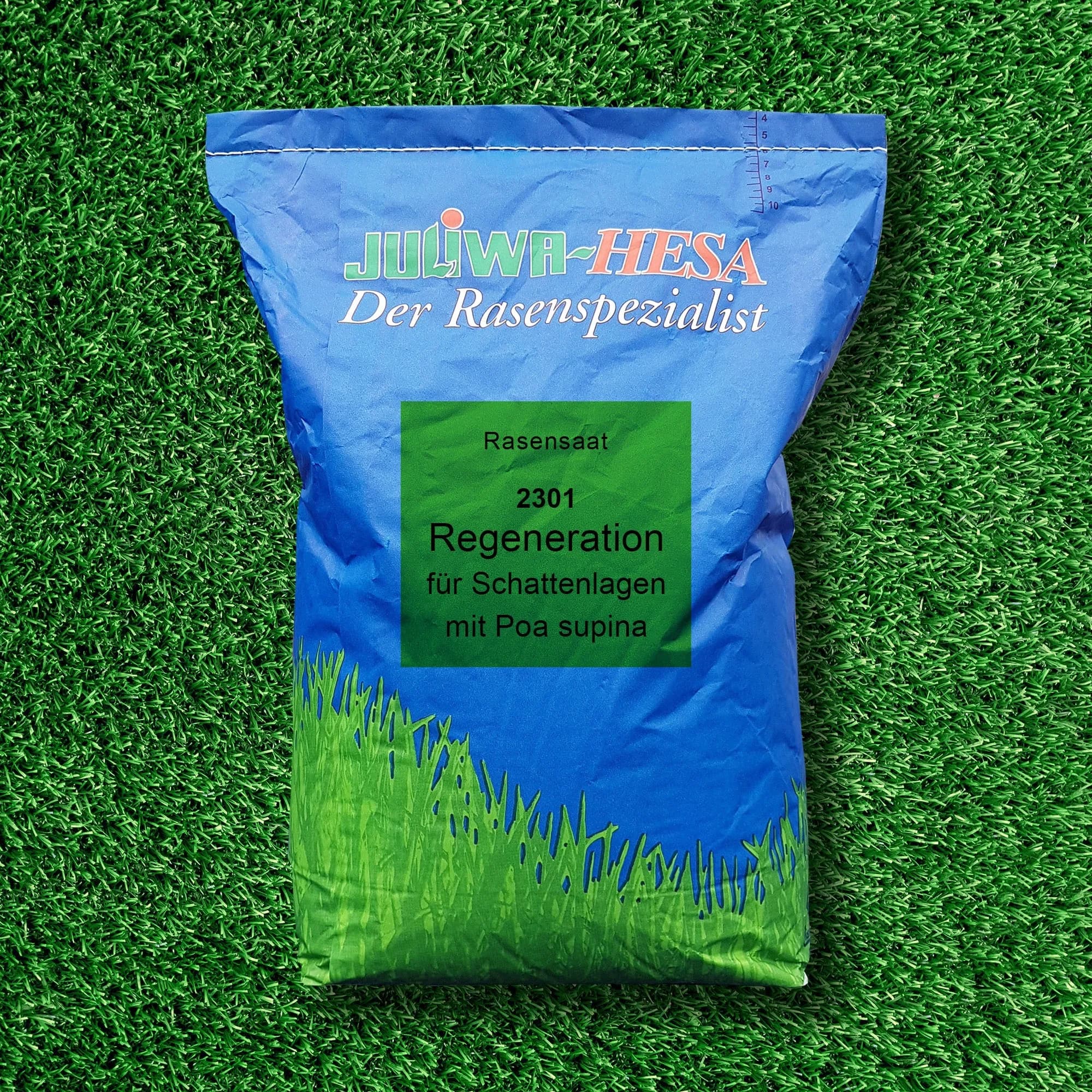 R 2301 Regeneration Schattenlagen mit Poa supina