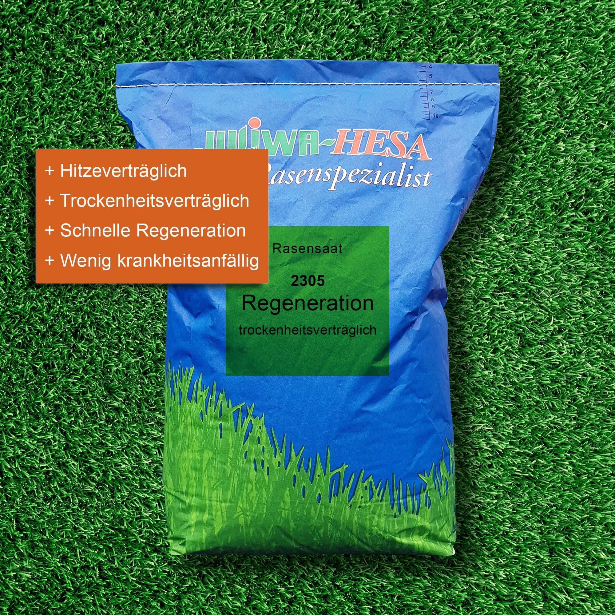 2305 Regeneration trockenheitsverträglich