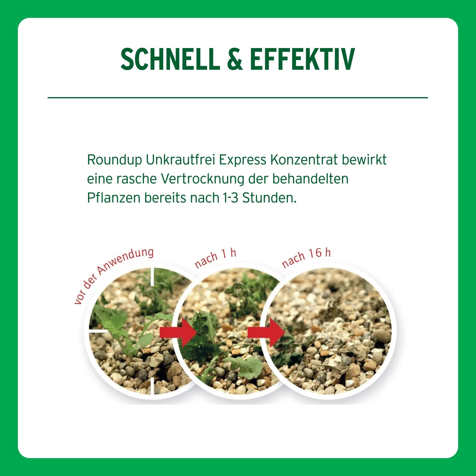 Roundup Unkrautfrei Express-Konzentrat, 0,4 l
