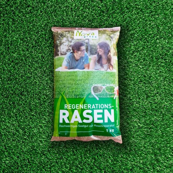 Regenerations-Rasen