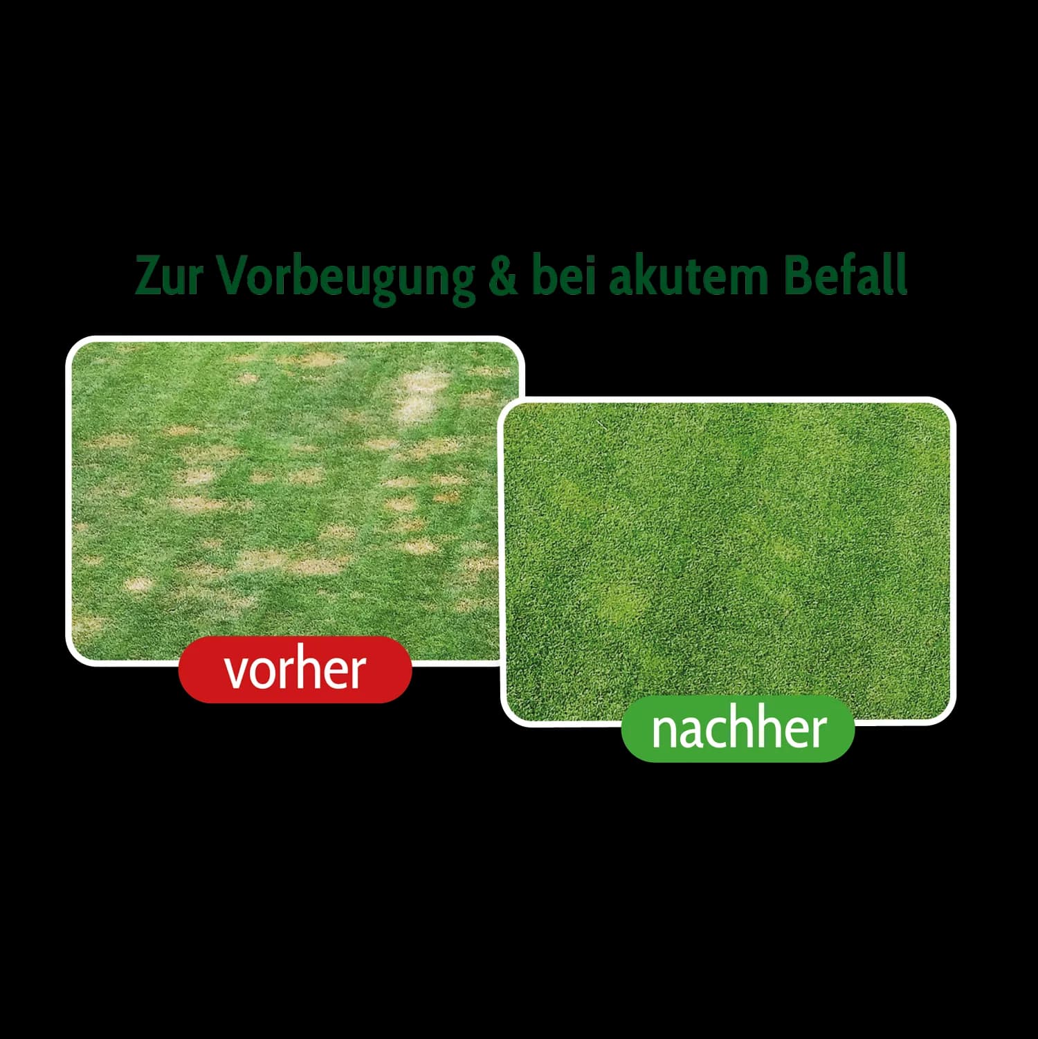 R Kombipack: Wurzelschutz mit Sprayer