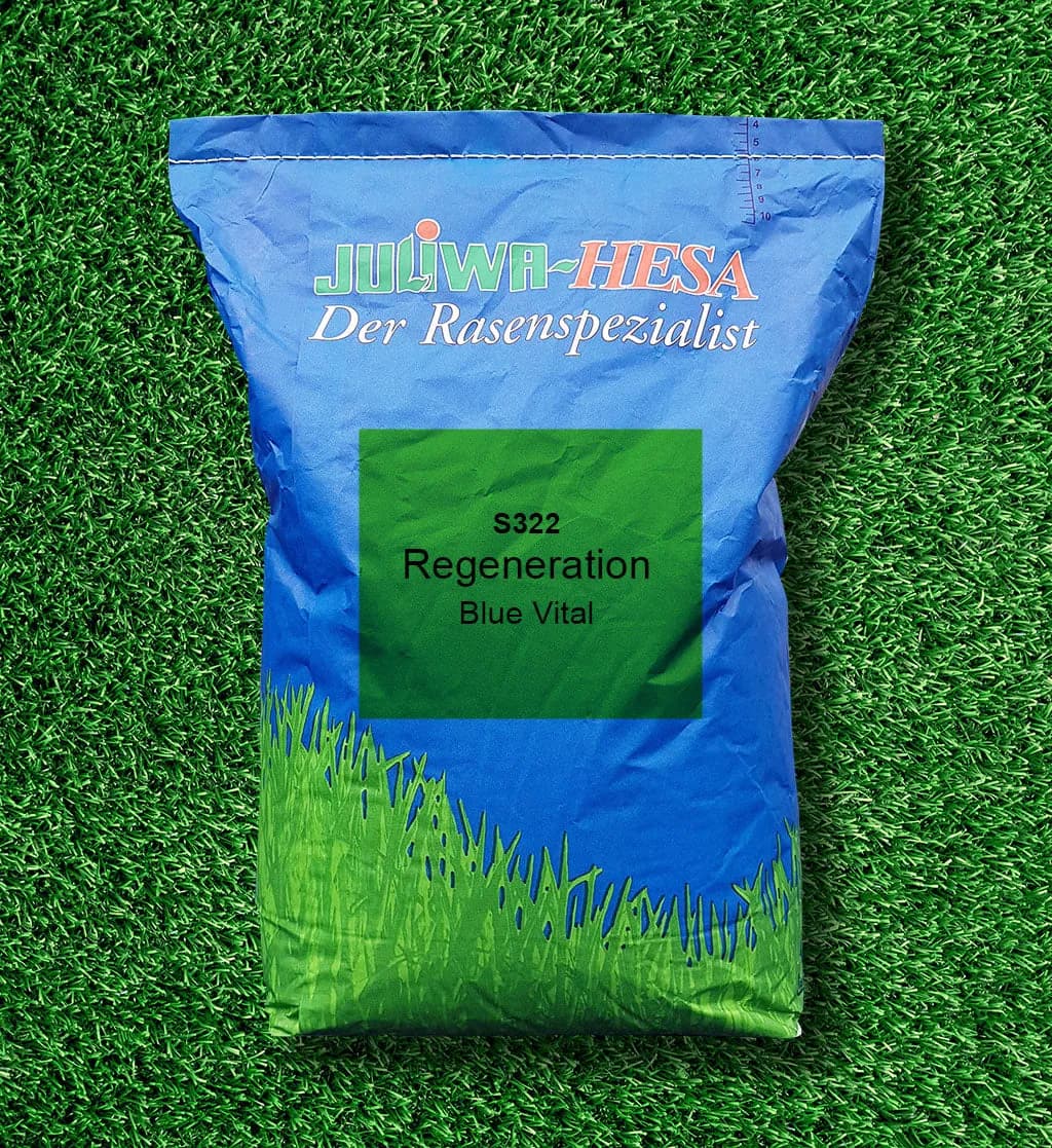 S 322 Regeneration mit Poa pratensis "BlueVital"