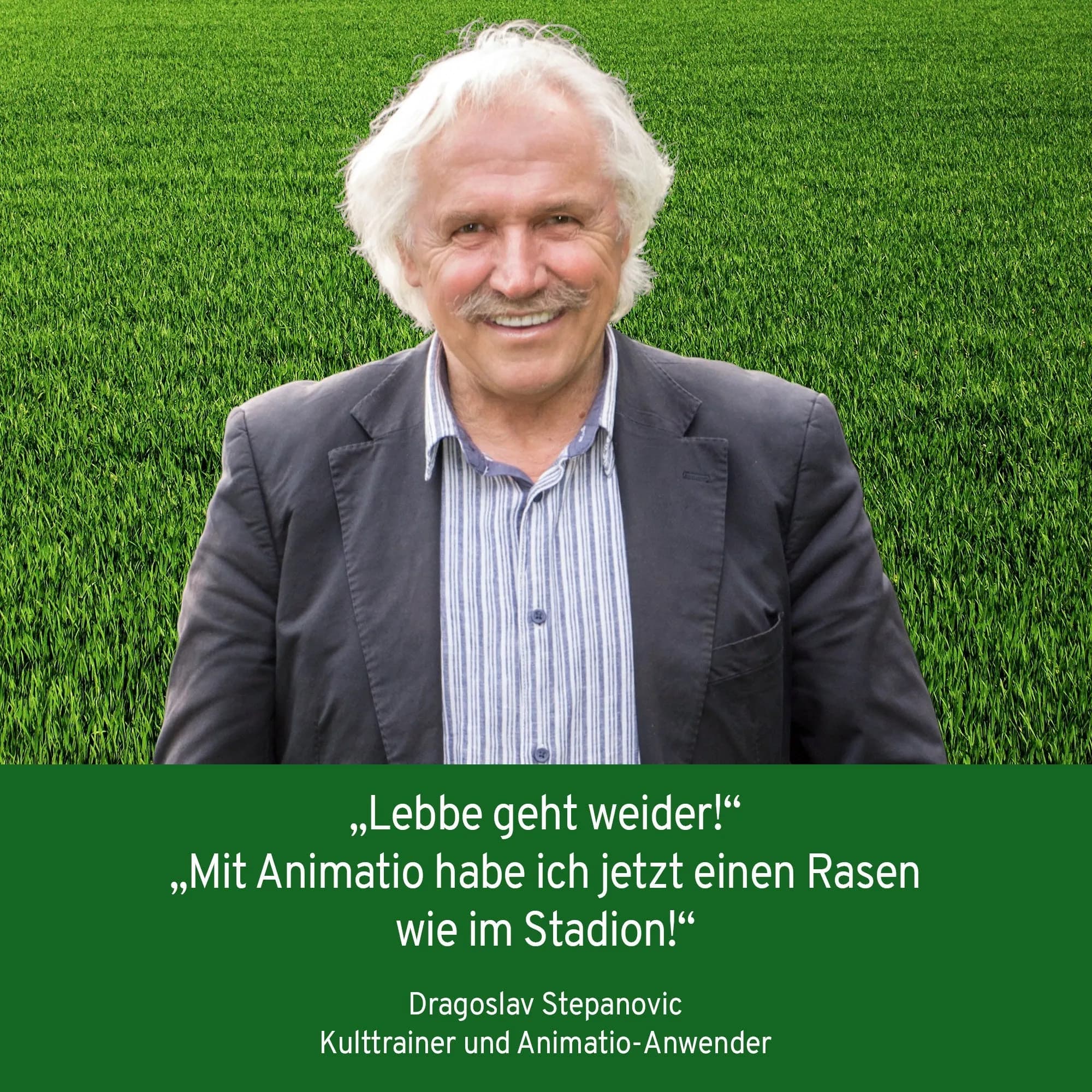 R Profi-Rasendünger