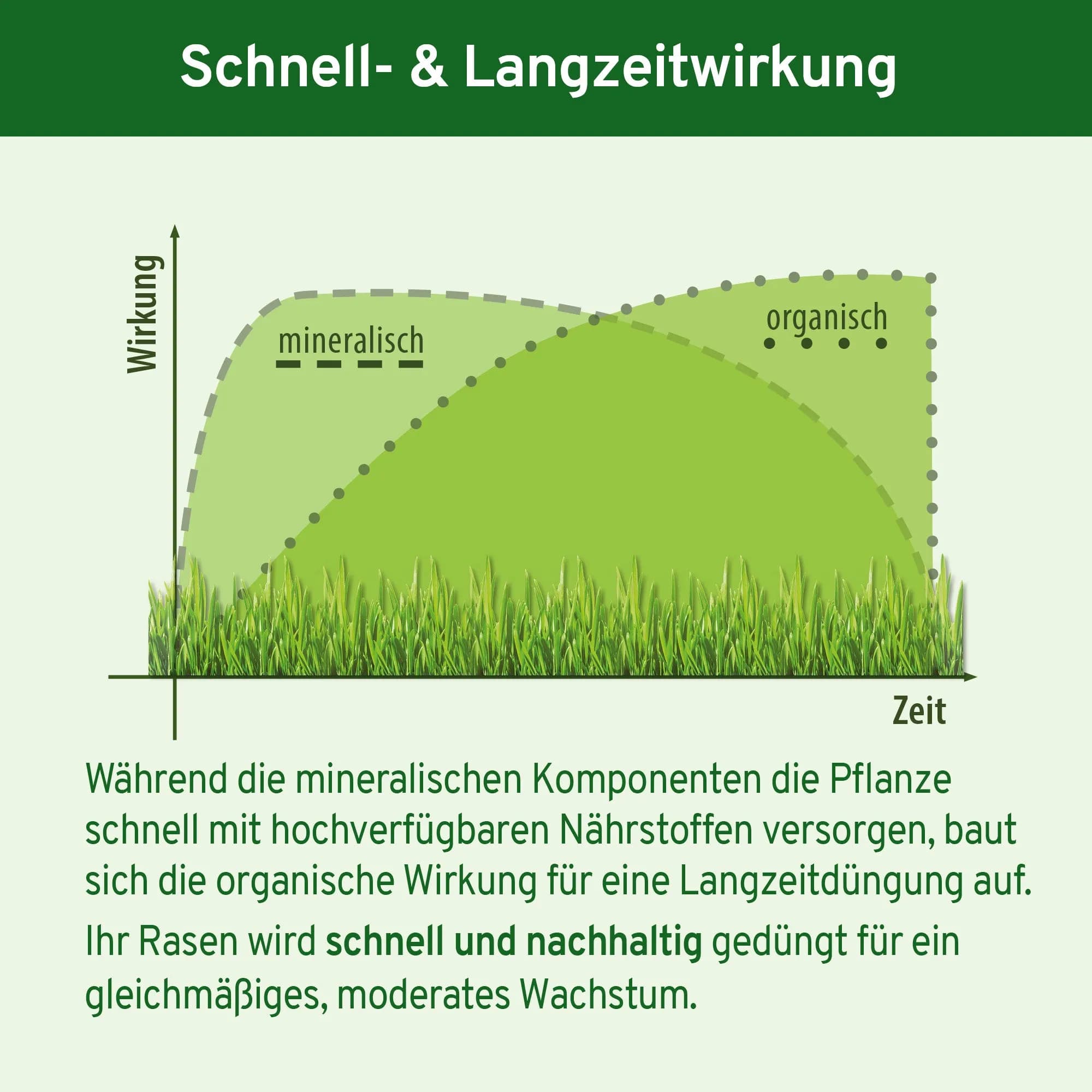 Animatio® Profi-Rasendünger